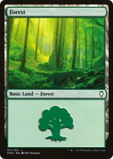 Forest card image