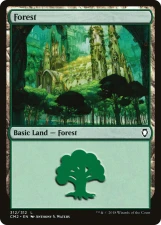 Forest card image