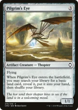 Pilgrim’s Eye card image