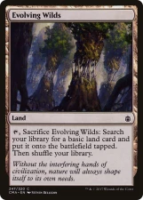 Evolving Wilds card image