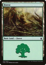 Forest card image
