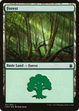 Forest card image