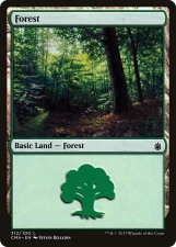 Forest card image