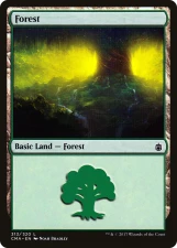 Forest card image