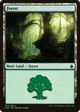 Forest card image