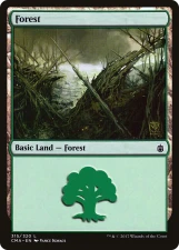 Forest card image