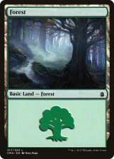 Forest card image