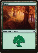 Forest card image
