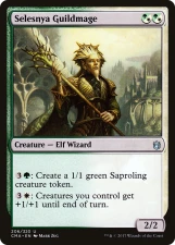 Selesnya Guildmage card image