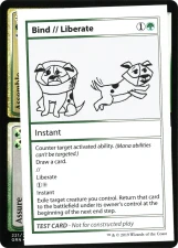 Bind // Liberate card image