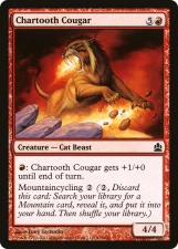 Chartooth Cougar card image