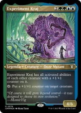 Experiment Kraj card image