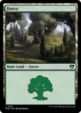Forest card image