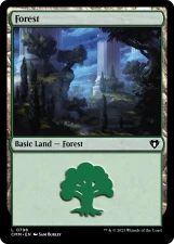 Forest card image