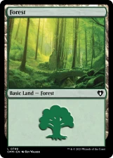 Forest card image