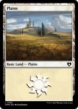 Plains card image