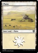 Plains card image