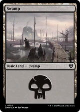 Swamp card image