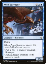 Aven Surveyor card image