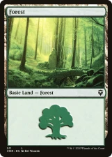 Forest card image