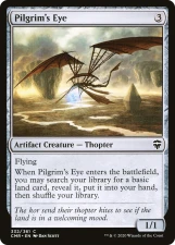 Pilgrim’s Eye card image
