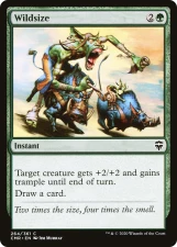 Wildsize card image