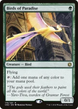 Birds of Paradise card image