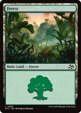 Forest card image