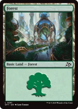 Forest card image