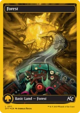Forest card image