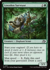 Loxodon Surveyor card image