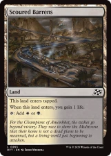 Scoured Barrens card image