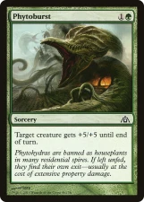 Phytoburst card image