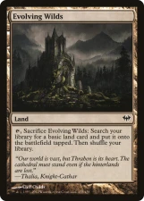 Evolving Wilds card image