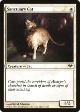 Sanctuary Cat card image