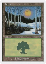 Forest card image