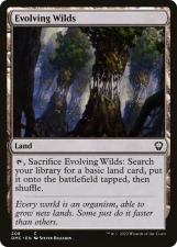 Evolving Wilds card image