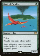 Birds of Paradise card image