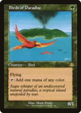 Birds of Paradise card image
