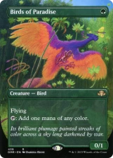 Birds of Paradise card image