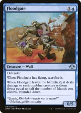 Floodgate card image