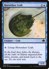 Horseshoe Crab card image