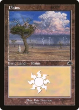 Plains card image