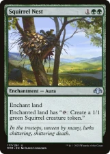 Squirrel Nest card image
