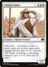 Vigilant Sentry card image