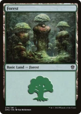 Forest card image