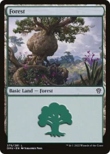 Forest card image