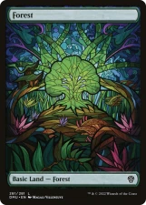 Forest card image