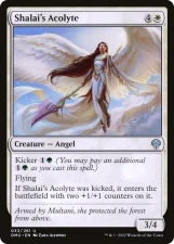 Shalai’s Acolyte card image