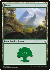 Forest card image